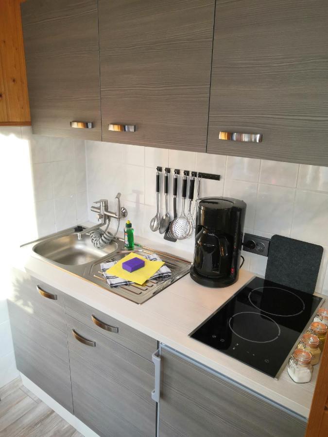 Apartmán Haus Fessel - Helenenruh Elend Exteriér fotografie